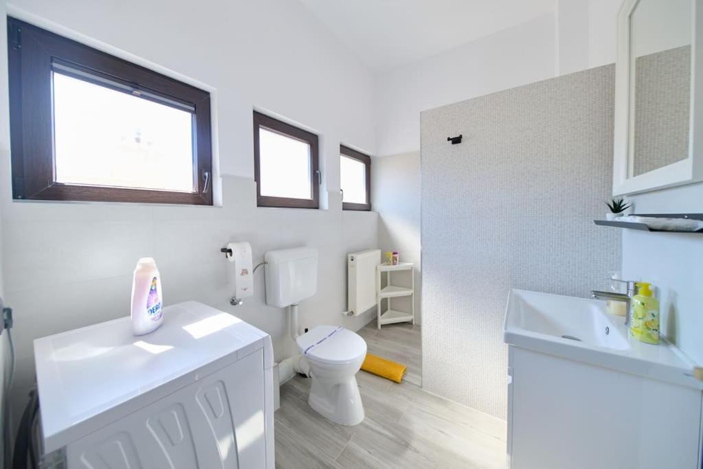 Central Old Town Oasis - Ap 6 Bukarest Eksteriør billede