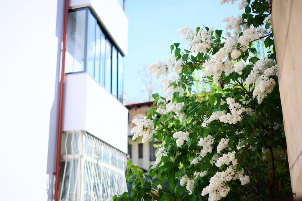 Central Old Town Oasis - Ap 6 Bukarest Eksteriør billede